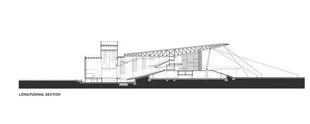 Longitudinal Section