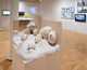 Installation of view of the exhibition “Ambiguous Territory: ” Photo by Jason Mandella Photography