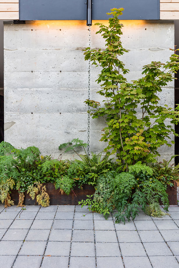 Tsuga Townhomes (Photo: Miranda Estes)