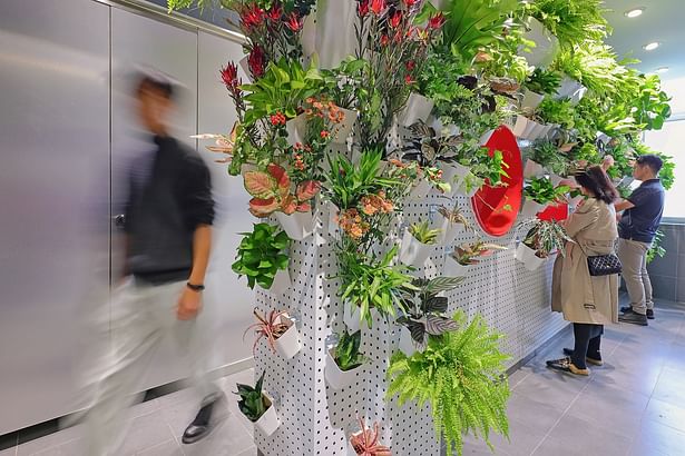 plant wall in use