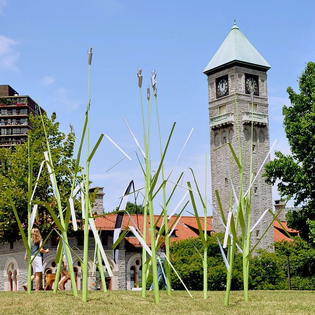 'Turfgrass' with Mount Royal Station Clocktower