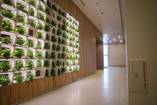 To soften life in the high-anxiety center, the designers experimented with phytoremediation, the use of plants to help purify the interior environment. Credit Ángel Franco/The New York Times