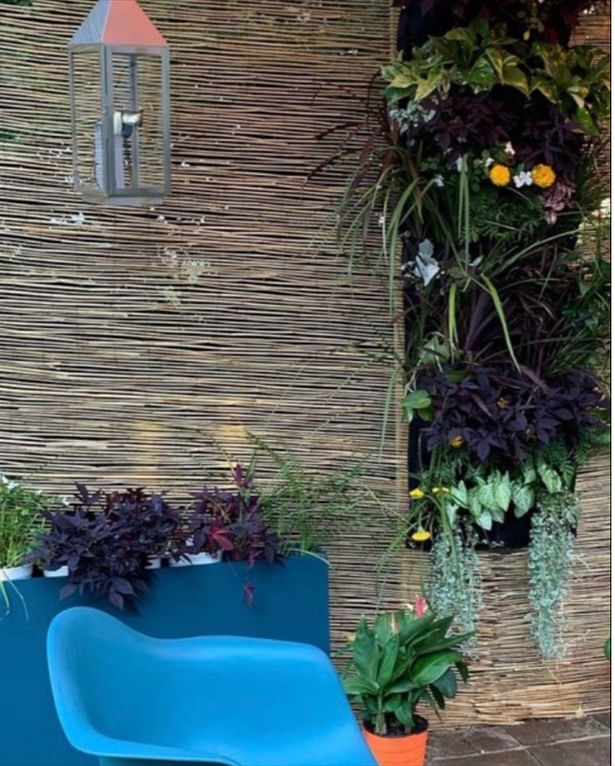 Small living wall/tall plant boxes