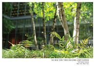 NY Times Building Lobby Garden