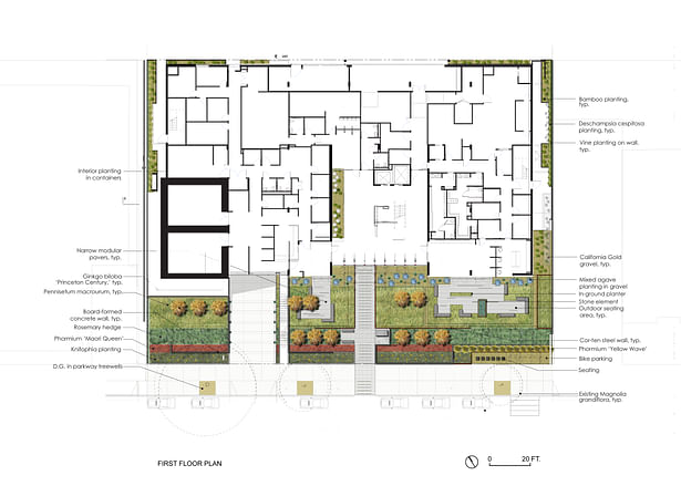 Landscape Plan