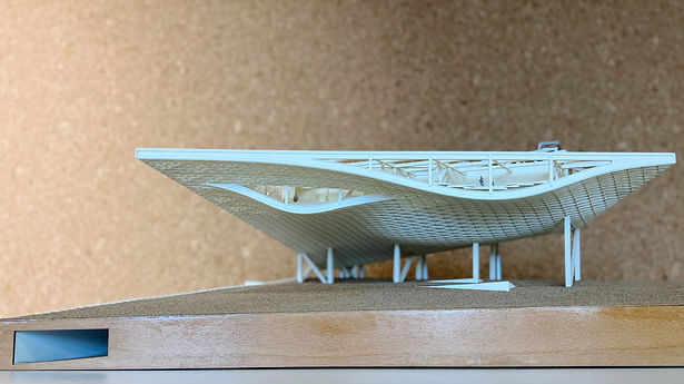 Model © XING DESIGN 行之建筑设计事务所