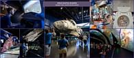 Space Shuttle Atlantis