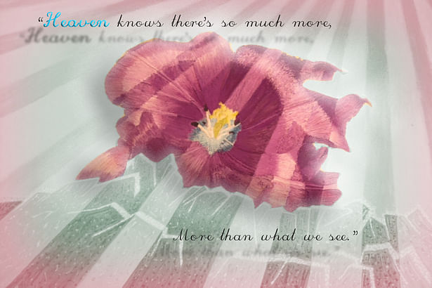 'Heaven knows there's so much more, more than what we see.'