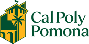 Assistant Professor Architecture