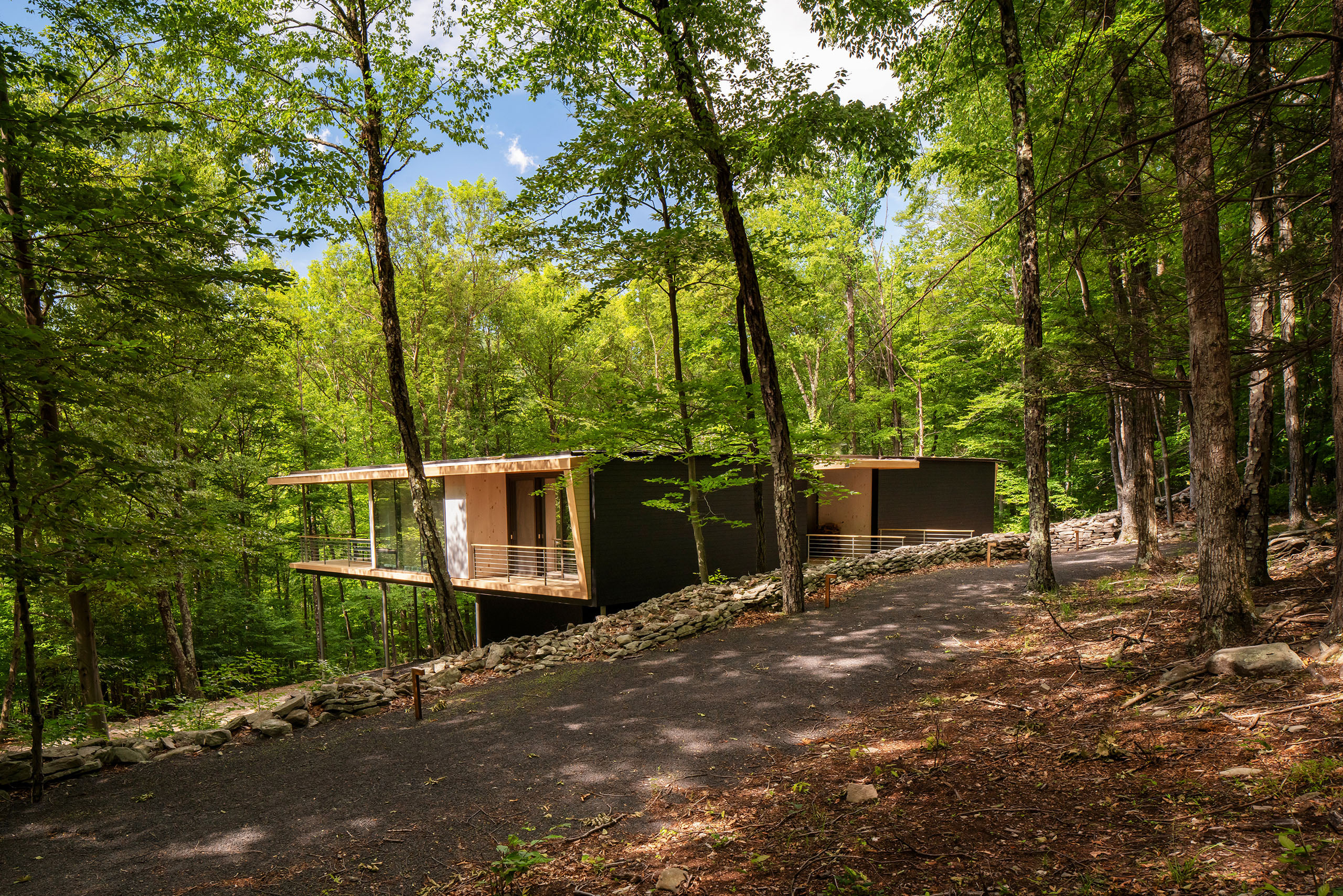 Understory House