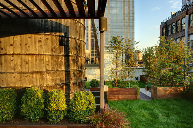 Midtown Minimal Rooftop Garden in New York City by workshop/apd (Photo: T. G. Olcott) 