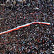 Images like this, from April 1 2011 in Tahrir Square, conveyed the scope of the Egyptian street protests to the rest of the world. Credit: Wikipedia