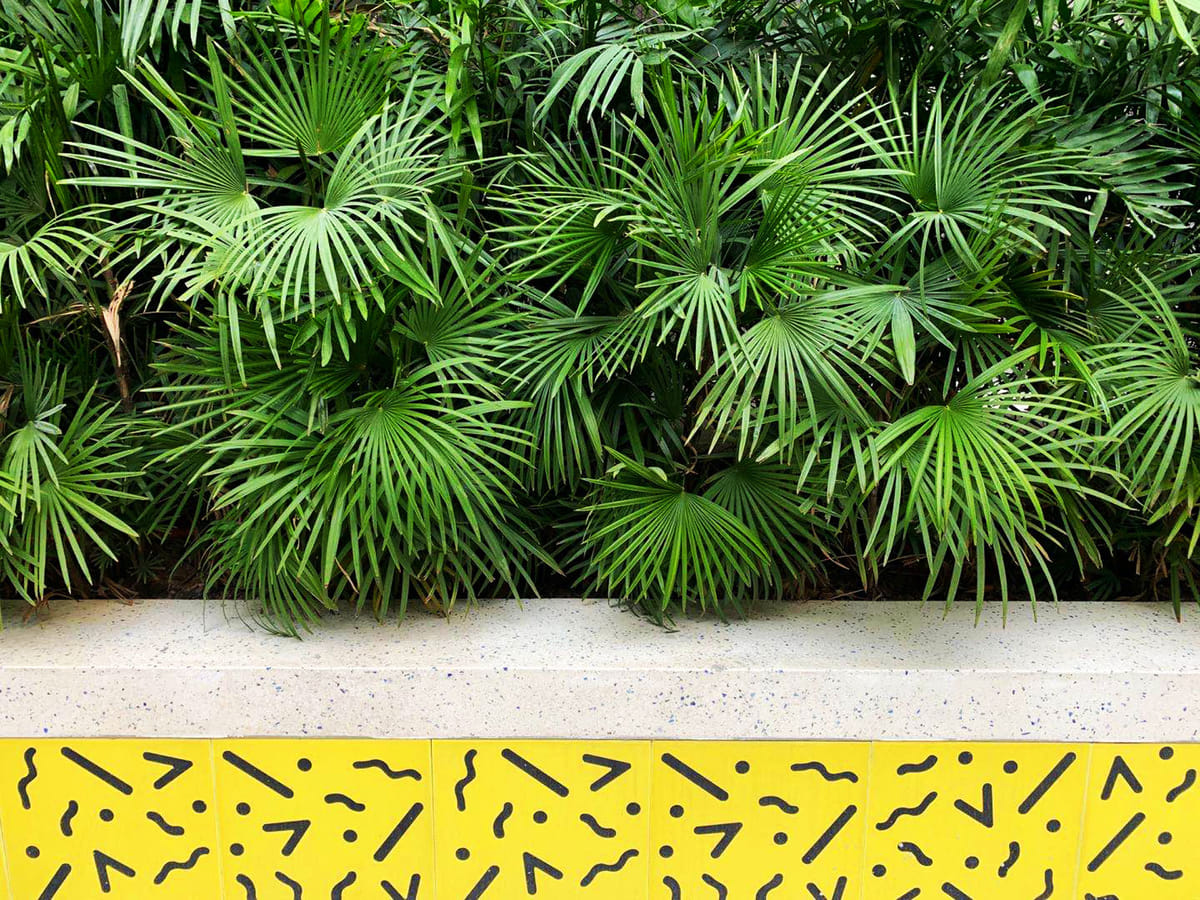 Time Valley | Ballistic Architecture Machine (BAM) | Archinect