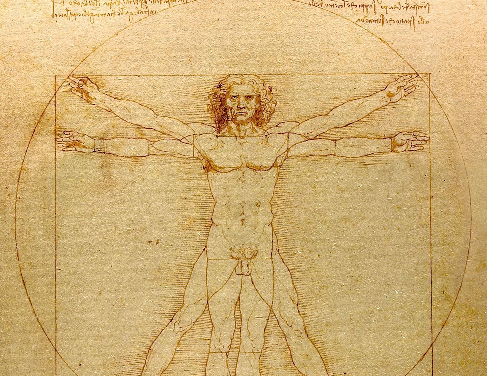 Radical Curiosity and The Modern Polymath | Features | Archinect