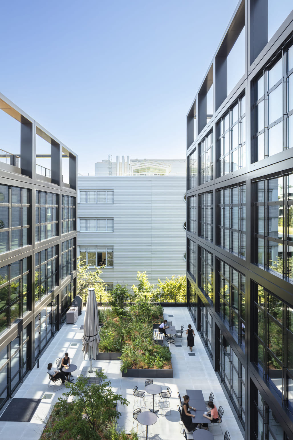Curated visual reference: Picture Idea: 10 Green Rooftop Spaces That Stood Out This Week News