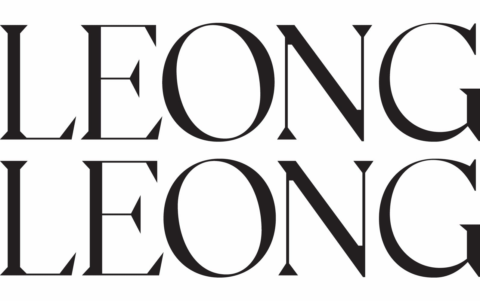 Project Director / Senior Project Manger