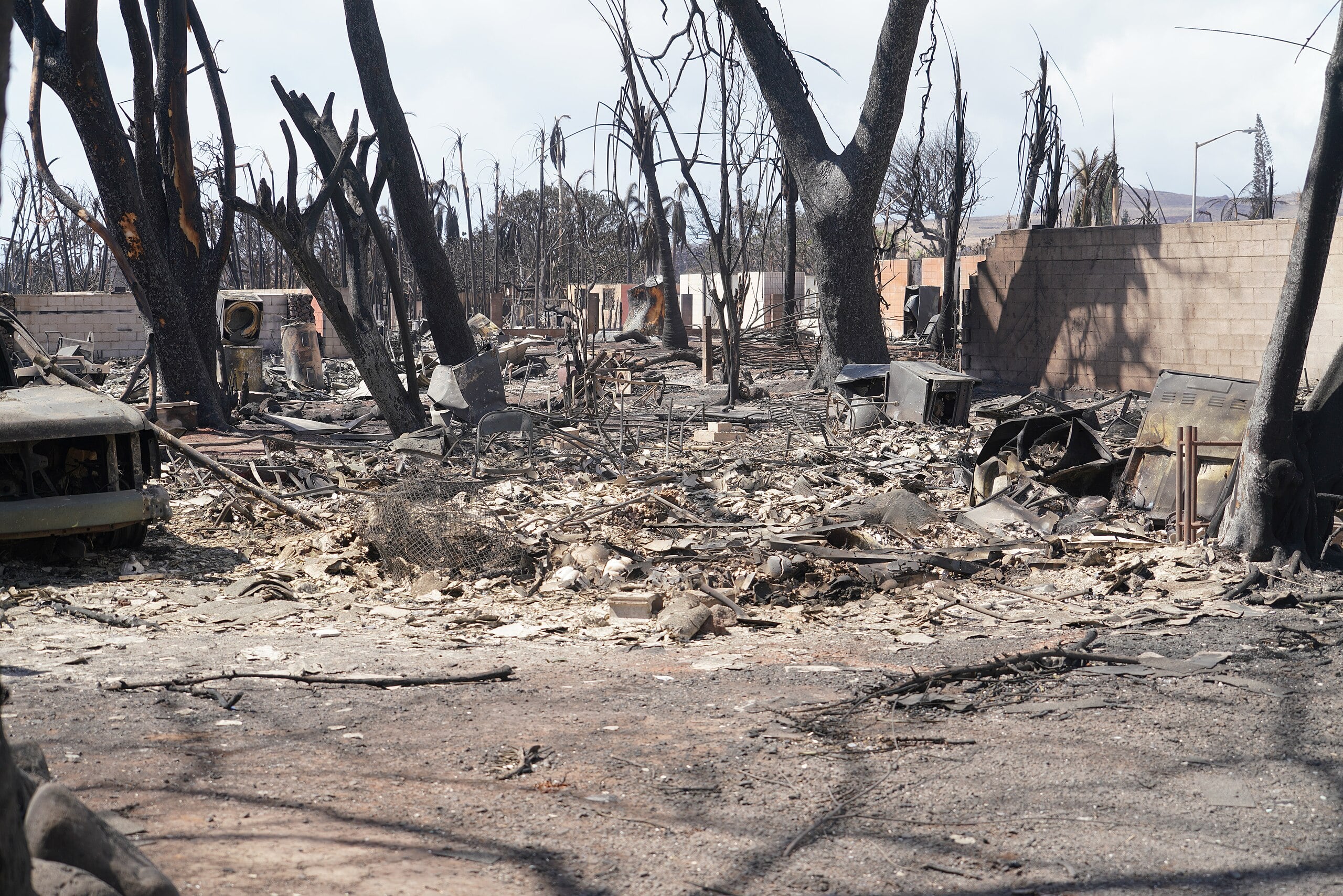 Hawaii is still undecided on post-disaster building codes amidst ...