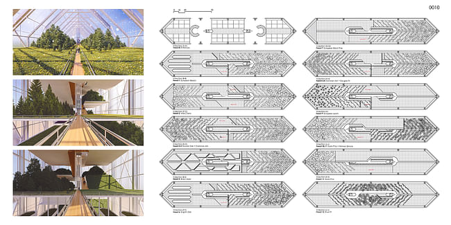 Honorable Mention: Breed: Forestation Skyscraper by Yahia Ahmed Yahia Kheder (Egypt)