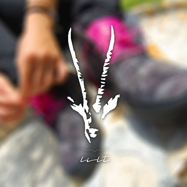 Logo for unique handmade leather shoes Lilt