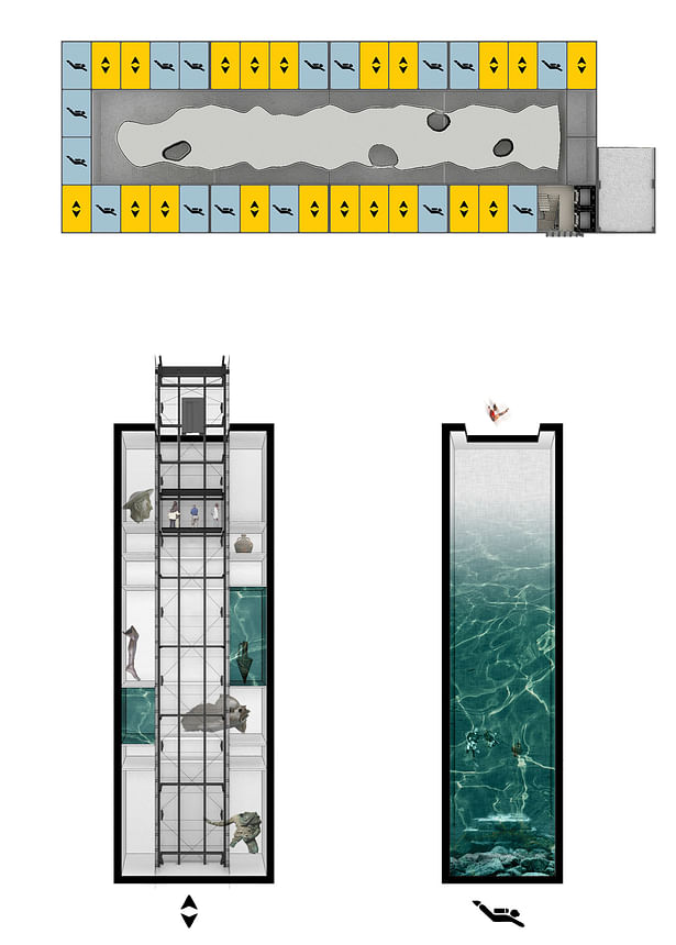 Lift Exhibitions and Diving Cells