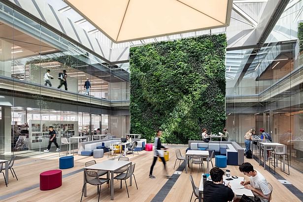 The Kuehner Court in the Sam Fox School of Design & Visual Art’s new Weil Hall features abundant natural light and a large, 30-foot green wall, installed by Sagegreenlife. The green wall helps to regulate temperature while cleaning and filtering water and air. © James Ewing/JBSA