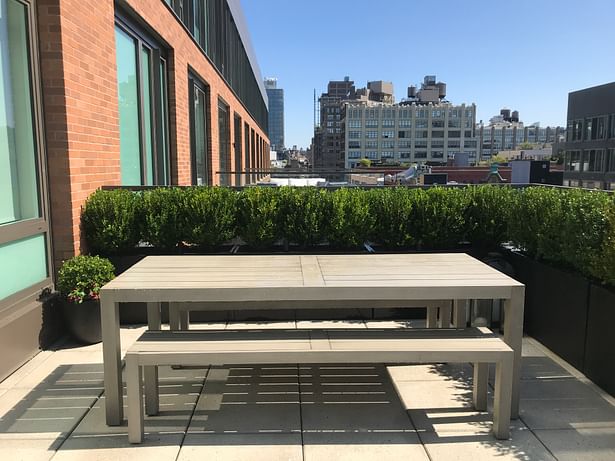Modern landscape design for an NYC terrace. 