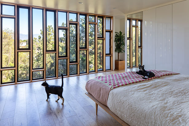 A large wall of windows in the lower level master bedroom provides magnificent sunrises with the illusion of being in the trees.