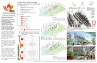 Urban Form Principles