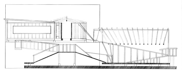 Longitudinal Section