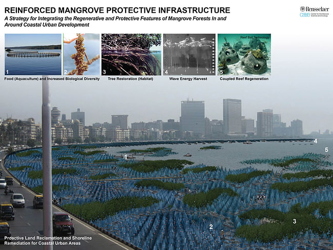 1st 'Next Generation' Prize: Reinforced mangrove protective infrastructure, Miami, FL by Keith Joseph Van de Riet, Rensselaer Polytechnic Institute, Troy, NY: Reinforced Mangrove Protective Infrastructure: a strategy for integrating the regenerative and protective features of mangrove forests in and around coastal urban development.