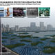 1st 'Next Generation' Prize: Reinforced mangrove protective infrastructure, Miami, FL by Keith Joseph Van de Riet, Rensselaer Polytechnic Institute, Troy, NY: Reinforced Mangrove Protective Infrastructure: a strategy for integrating the regenerative and protective features of mangrove forests in...