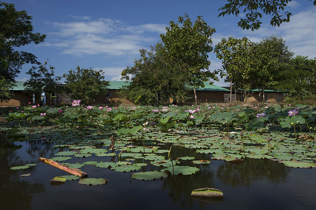 across the lotus pond