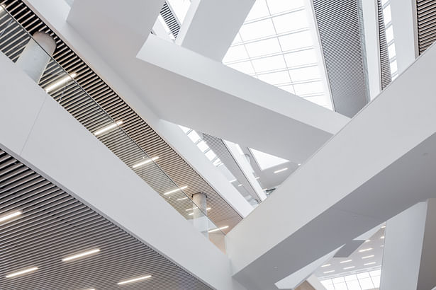 Looking up from the ground level