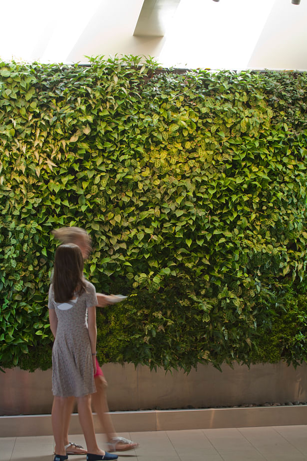 Interior View of Living Wall