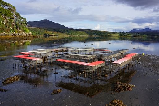 Cooking Sections, CLIMAVVORE: On Tidal Zones, 2017 - ongoing. Isle of Skye, Scotland. Image courtesy of Cooking Sections 