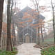 E. Fay Jones' Thorncrown Chapel (day) by architect-turned-photographer Randall Connaughton
