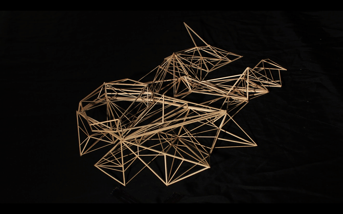 "Topography" | Aaron Chu | Archinect