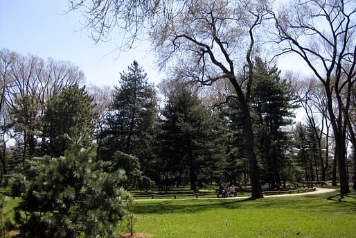 View of the Arthur Ross Pinetum, where Seneca Village was once located. Image courtesy of Flickr user Wally Gobetz. 