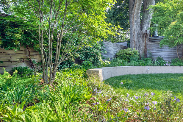 Curved concrete retaining wall allows for a larger planting area around the existing tree