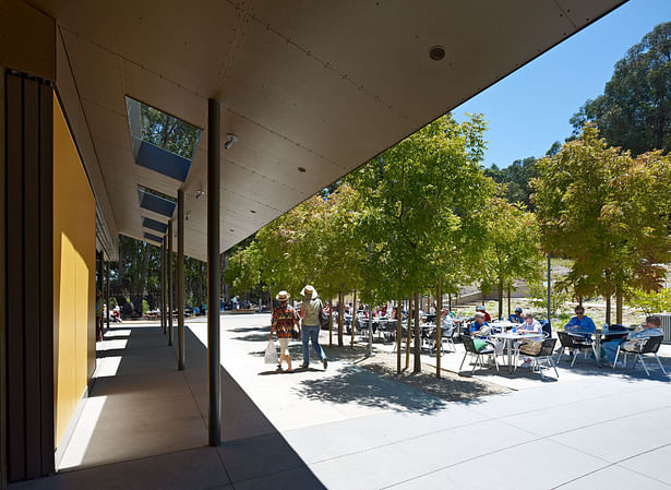 California Shakespeare Theater (Photos: Bruce Damonte)