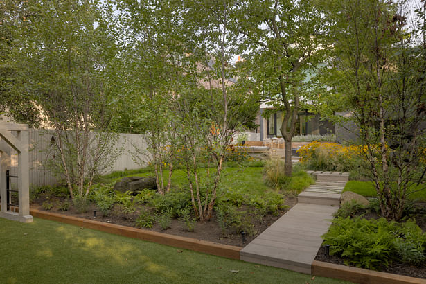 Birch tree and fern garden separates patio areas from kids’ play area. Path wends its way through this mini forest