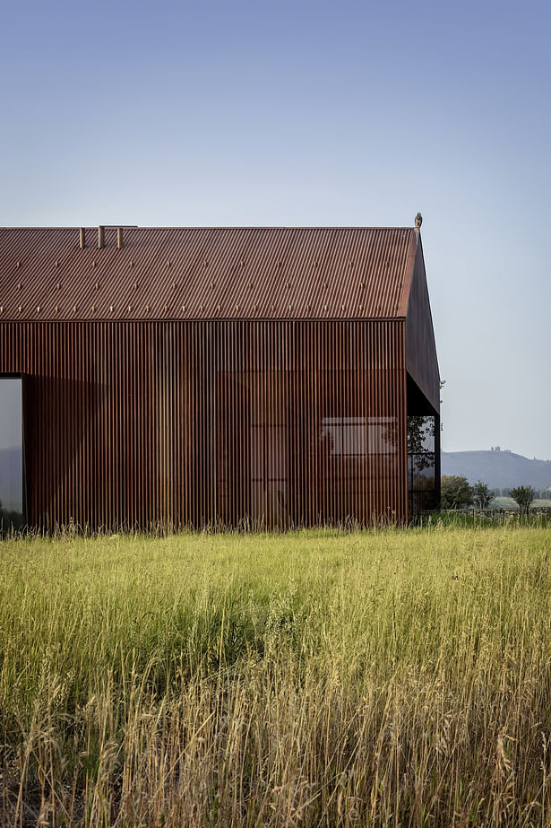 Dogtrot (Photo: Audrey Hall)