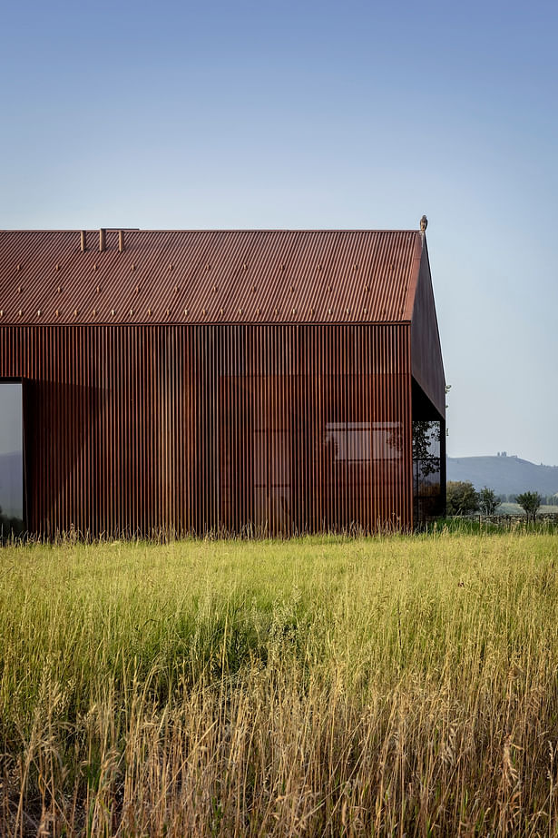 Dogtrot (Photo: Audrey Hall)