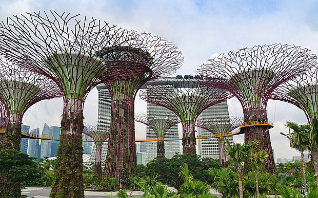 'Super Trees', Singapore, designed by Wilkinson Eyre Architects