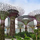 'Super Trees', Singapore, designed by Wilkinson Eyre Architects