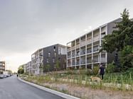 'Natur-Lodges' Collective Housing