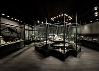 UNM Meteorite Museum