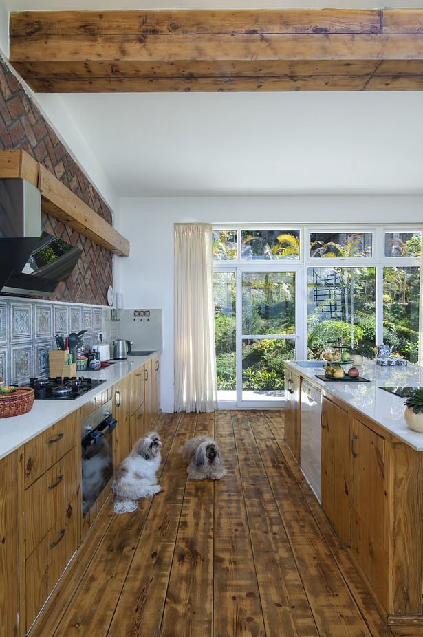 Kitchen overlooking to the southern garden