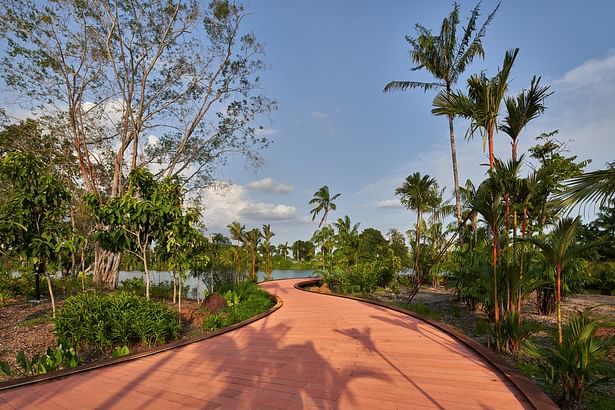 Rasau Walk is an elevated board walk that brings visitors closer to nature.