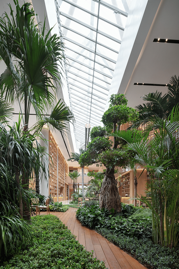 11 Atrium garden